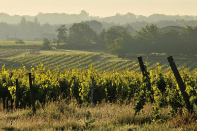 02-entre-deux-mers-bordeaux.jpg