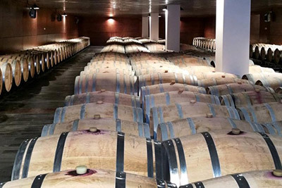 03-bodegas-habla.jpg