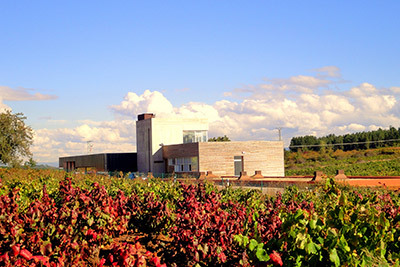 01-losada-vinos-de-finca.jpg