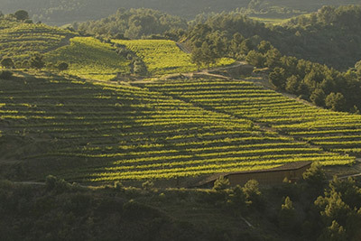 04-portal-del-priorat.jpg