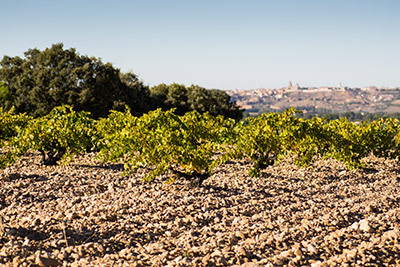 02-quinta-de-la-quietud.jpg